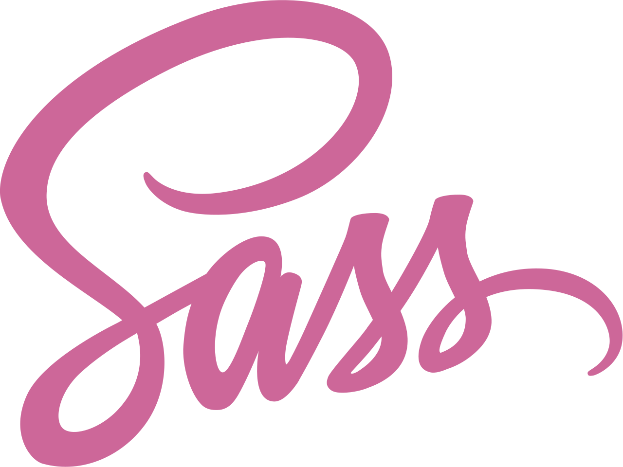 SASS image